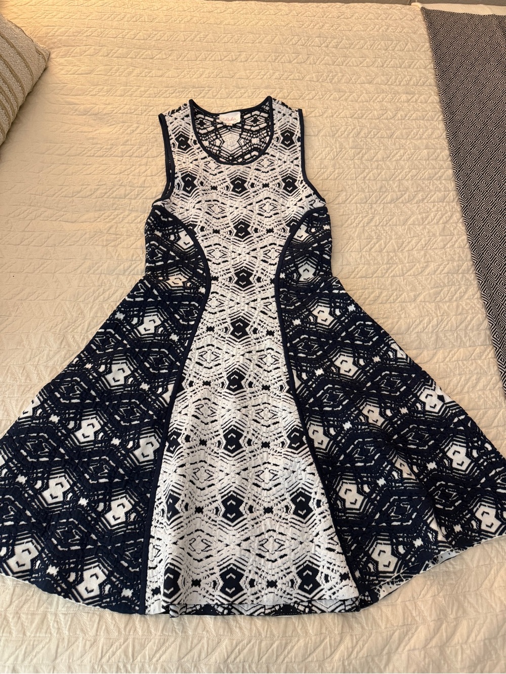 Parker Navy and White Sleeveless Fit & Flare Lace Dress
